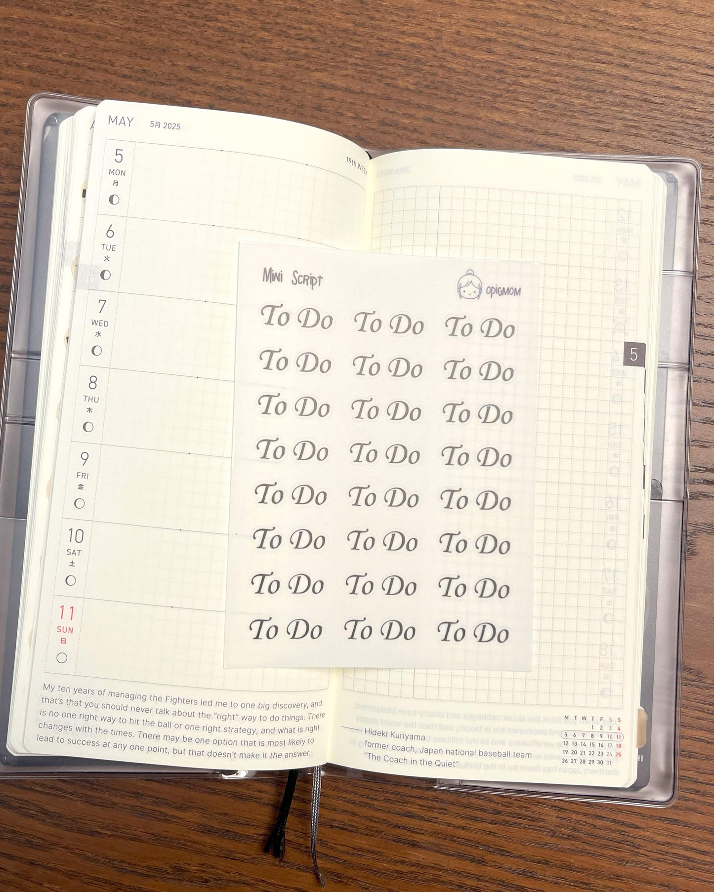 Mini Script TODO