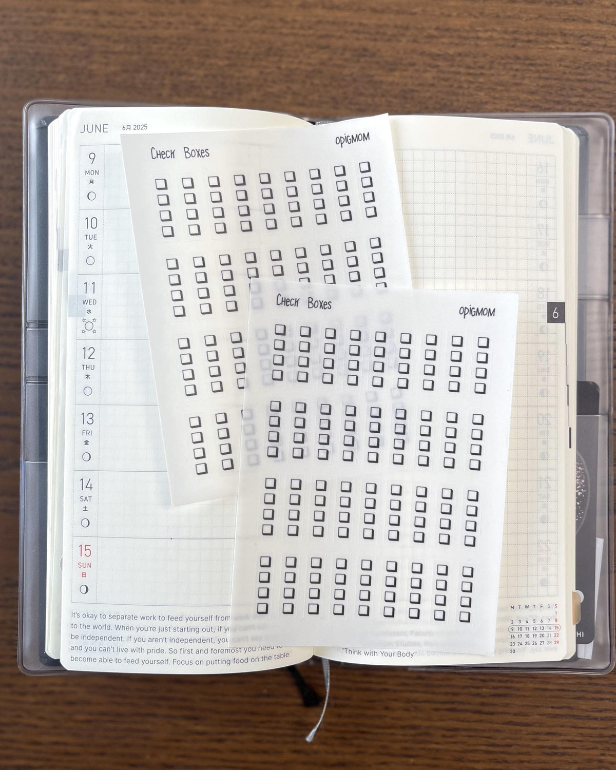 12 Week Checkbox Checkbox Planner Stickers | Transparent Black Checkbox | Functional ...