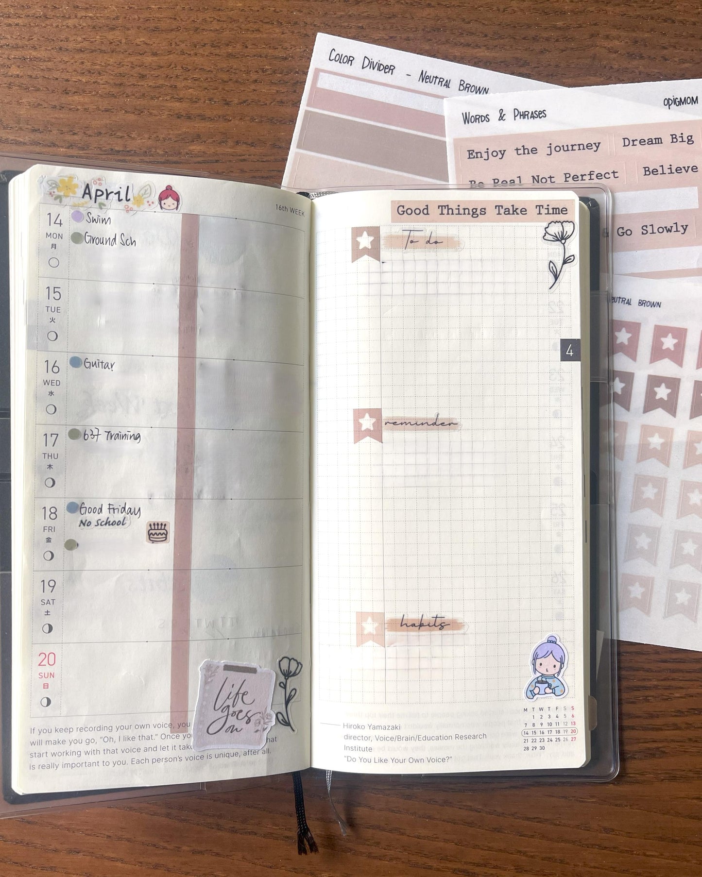 Color Dividers | Transparent Washi Tape Strips