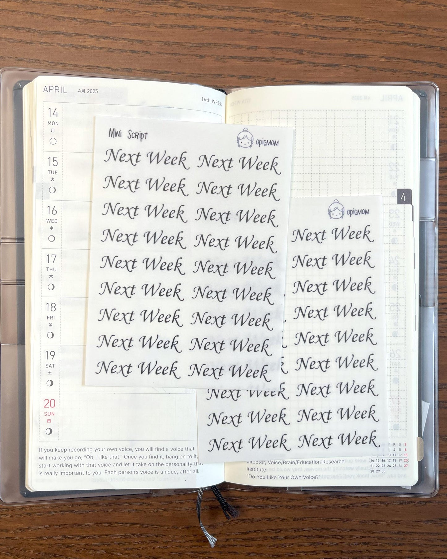 Mini Script NEXT WEEK