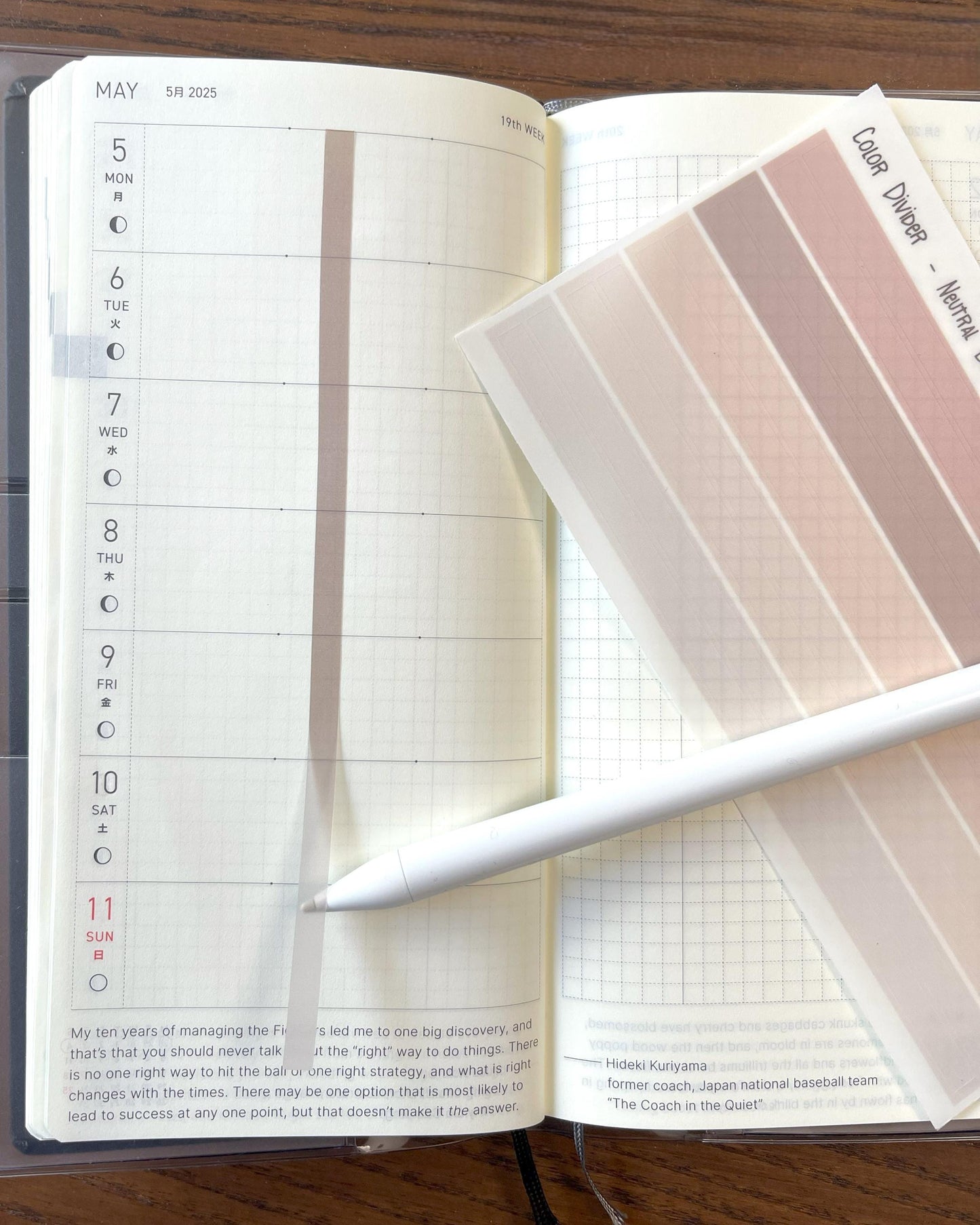 Color Dividers | Transparent Washi Tape Strips
