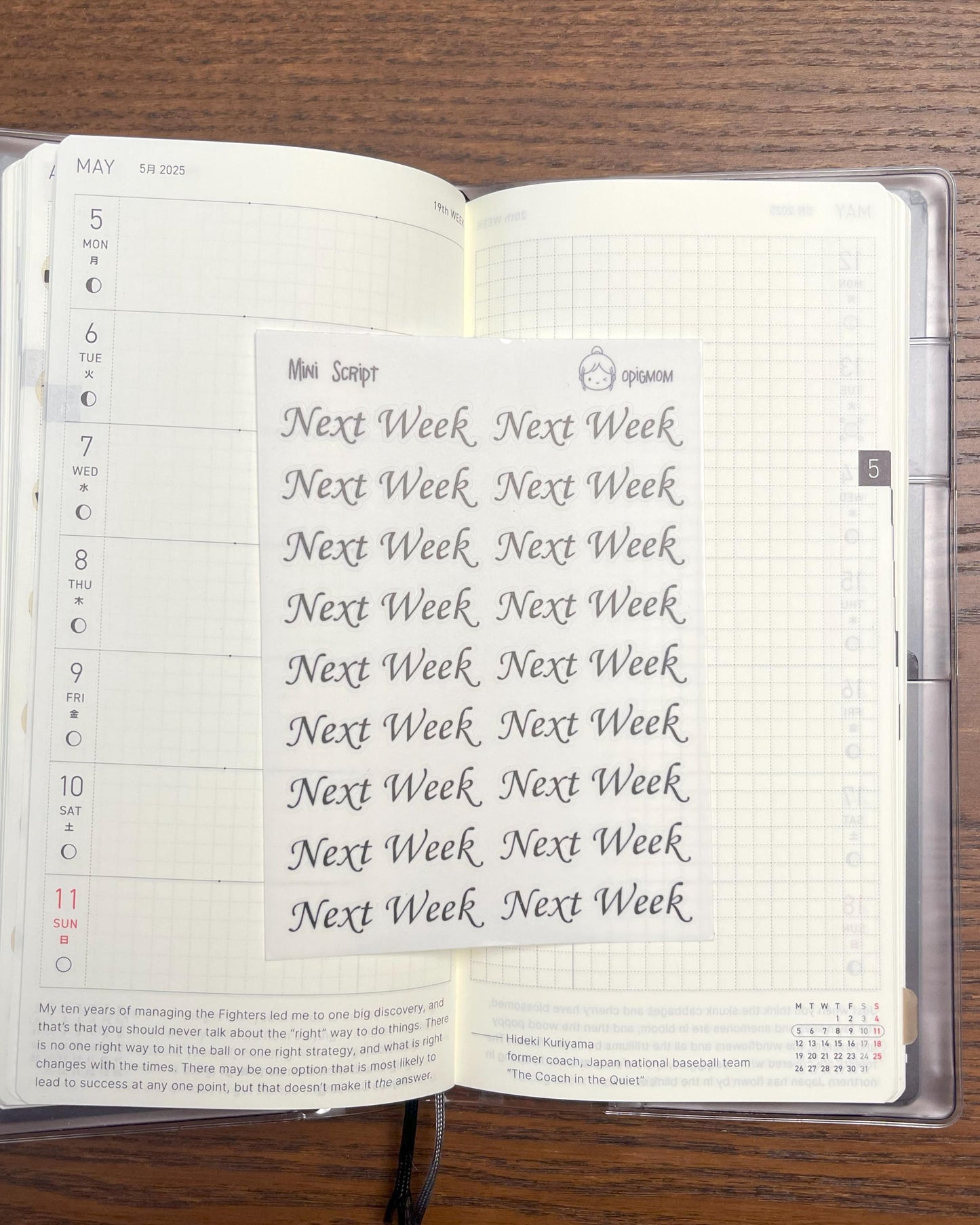 Mini Script NEXT WEEK